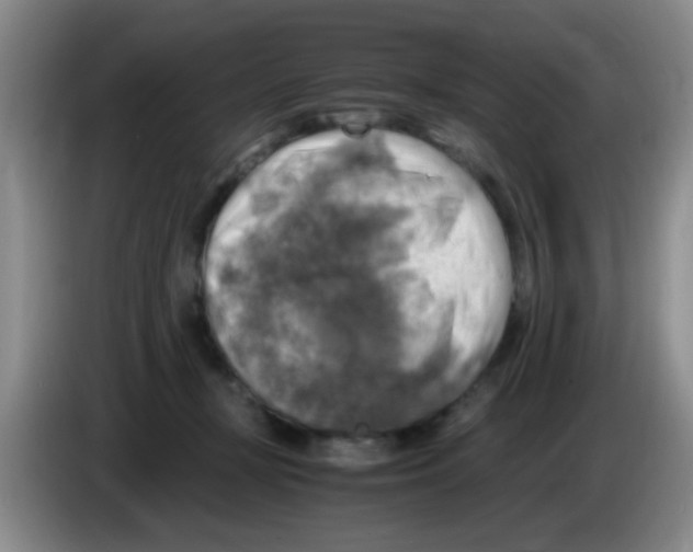 X0000083560367200703091621