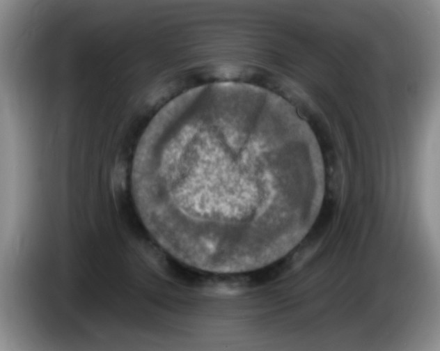 X0000083560368200703091621