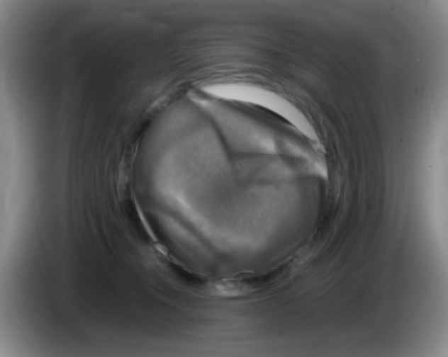 X0000083560372200703091621