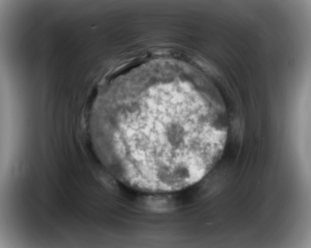 X0000083560373200703091621