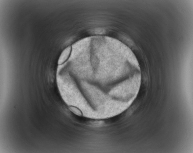 X0000083560374200703091621