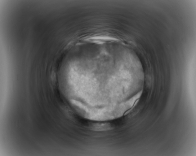 X0000083560375200703091621