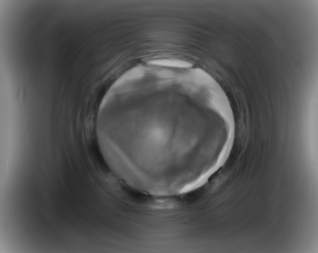 X0000083560376200703091621