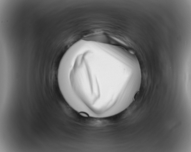 X0000083560379200703091621