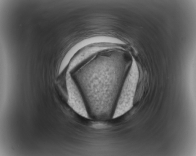 X0000083560380200703091621