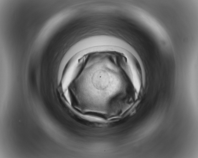 X0000083560382200703091621