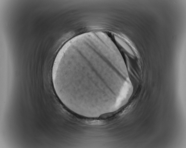 X0000083560385200703091621