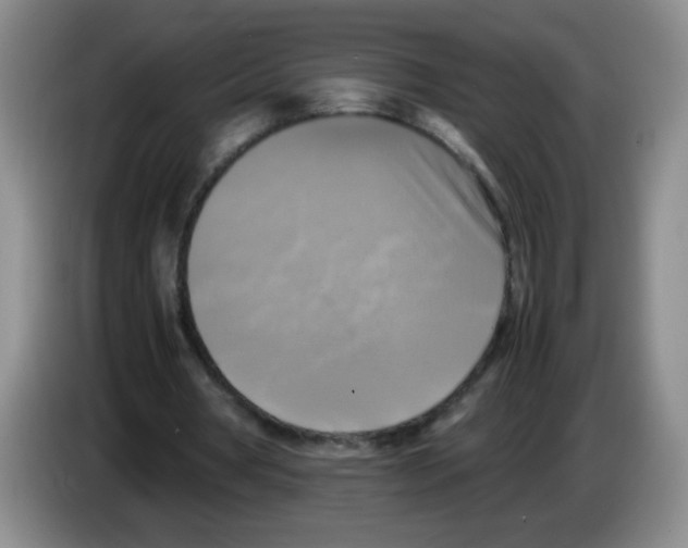 X0000083560386200703091621