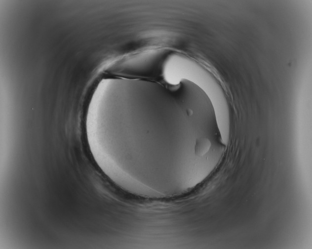 X0000083560387200703091621