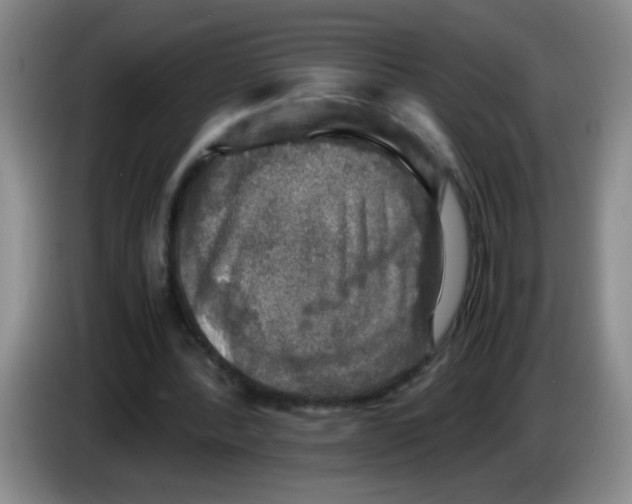 X0000083560388200703091621