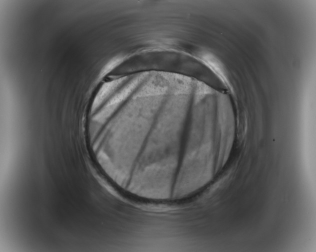 X0000083560389200703091621