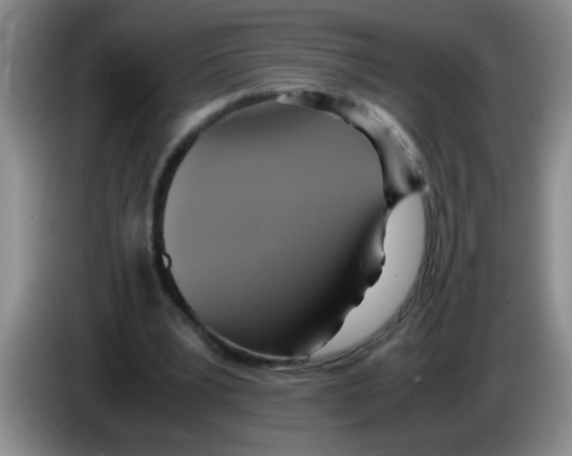 X0000083560391200703091621