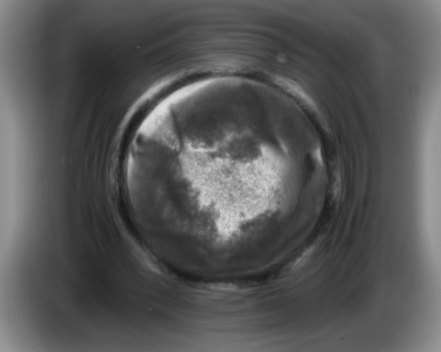 X0000083560392200703091621