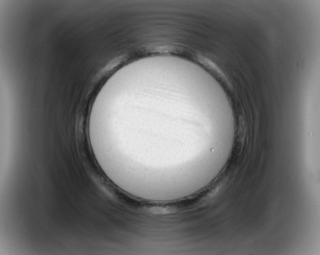 X0000083560394200703091621