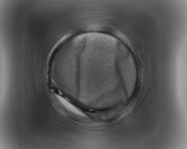 X0000083560395200703091621