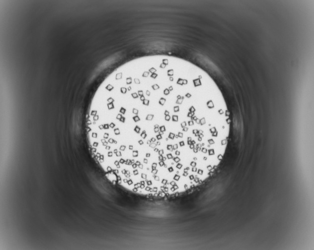 X0000083560396200703091621