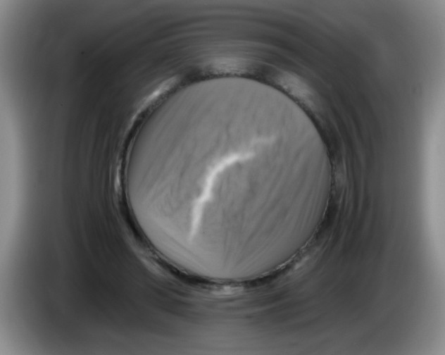 X0000083560398200703091621