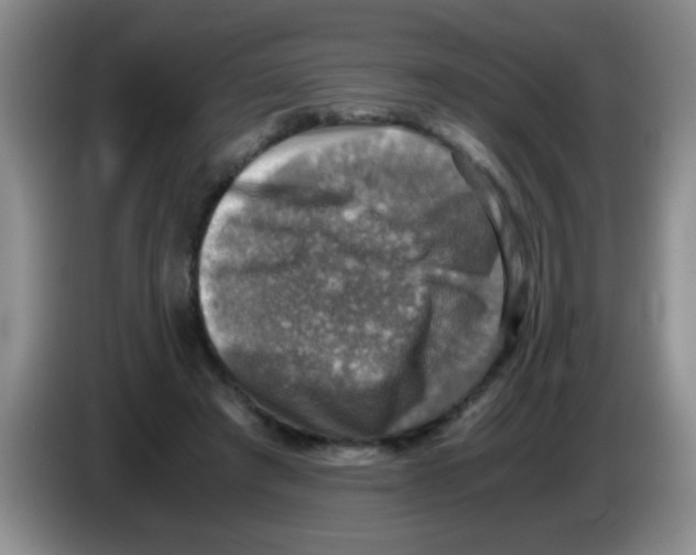 X0000083560401200703091620