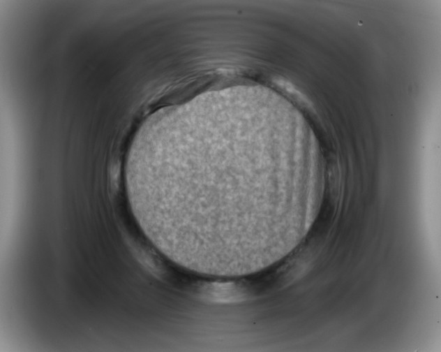 X0000083560406200703091620