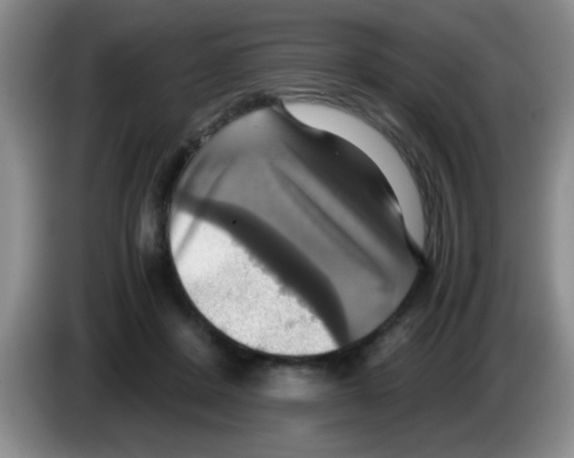 X0000083560408200703091620