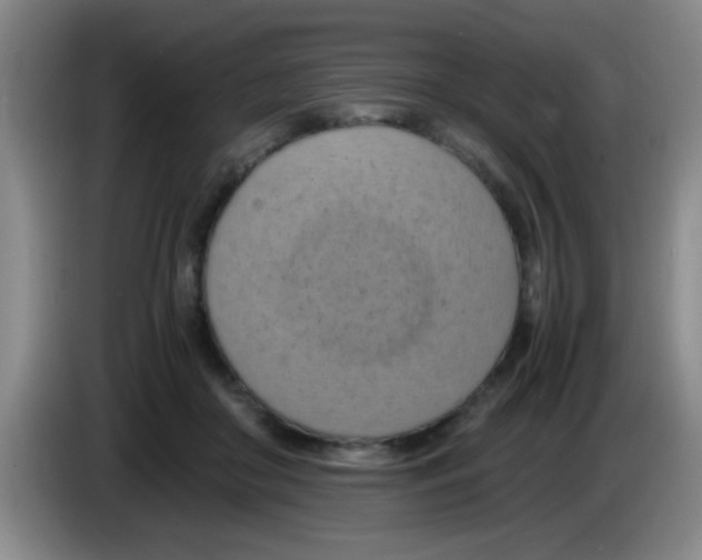 X0000083560410200703091620