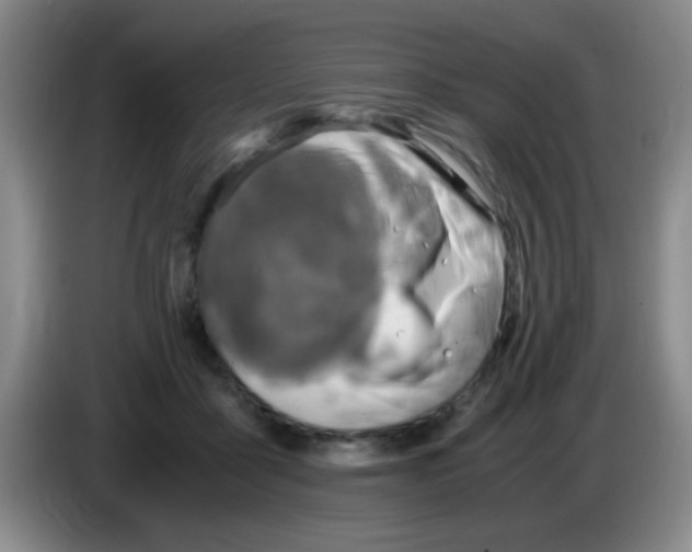 X0000083560411200703091620