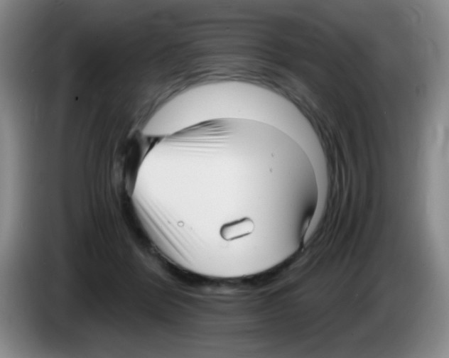 X0000083560412200703091620