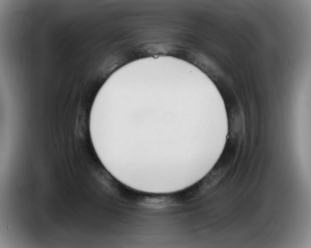 X0000083560414200703091620