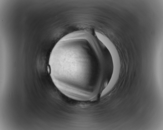 X0000083560416200703091620