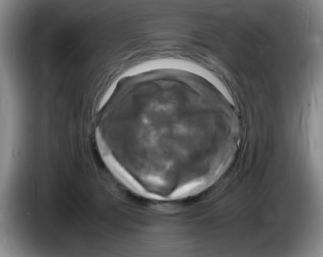 X0000083560417200703091620