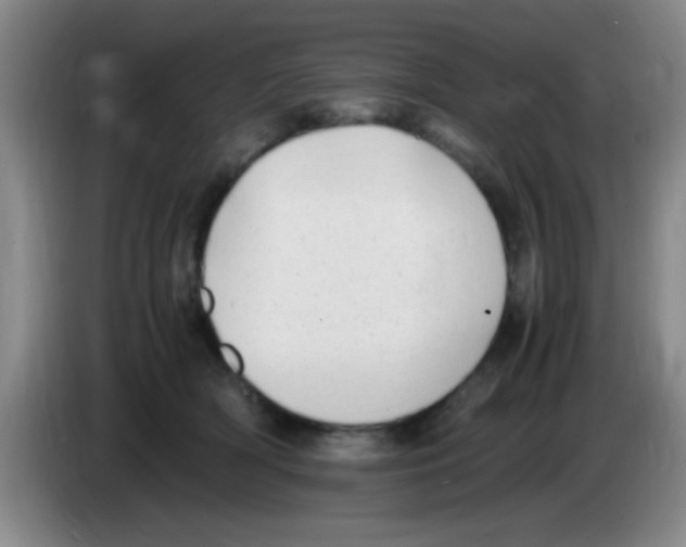 X0000083560418200703091620