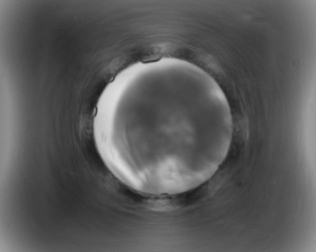 X0000083560419200703091620