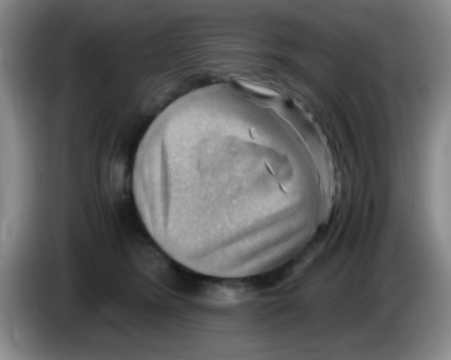 X0000083560420200703091620