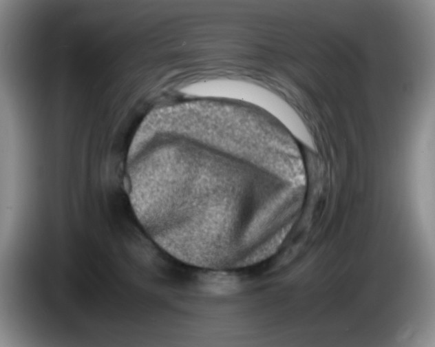 X0000083560421200703091620