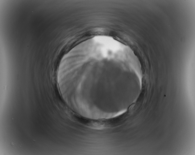 X0000083560423200703091620