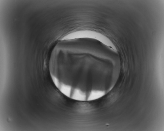 X0000083560424200703091620