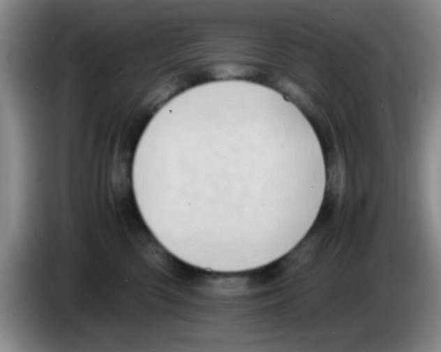 X0000083560426200703091620