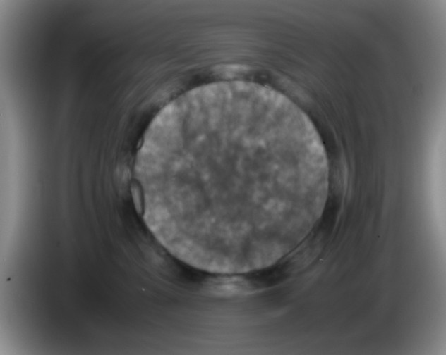 X0000083560427200703091620