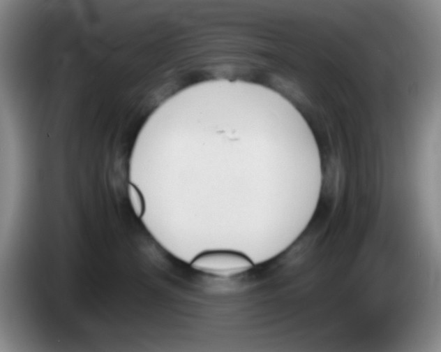 X0000083560430200703091620