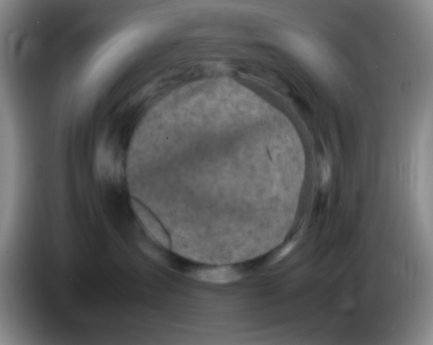 X0000083560431200703091620