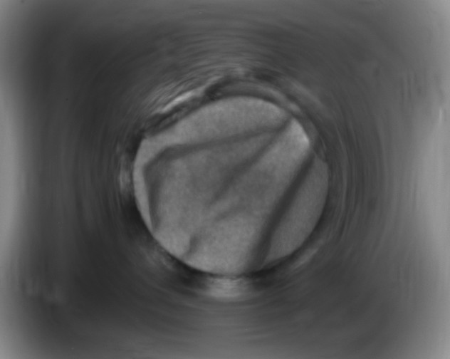 X0000083560432200703091620