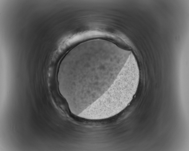 X0000083560434200703091619