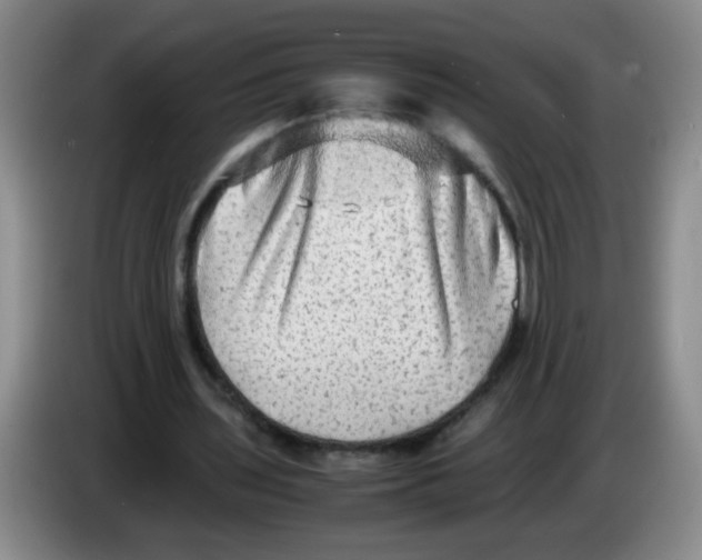 X0000083560435200703091619