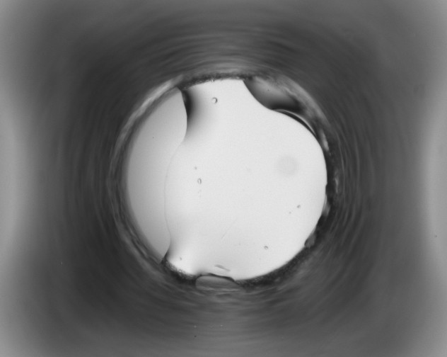 X0000083560436200703091619