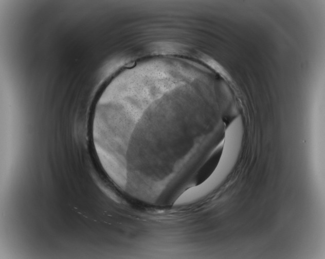 X0000083560438200703091619