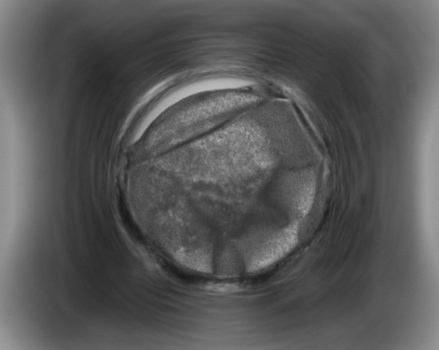 X0000083560440200703091619