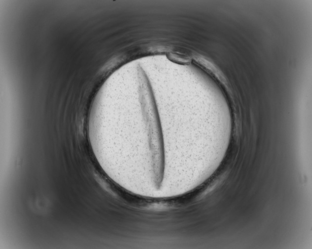 X0000083560441200703091619