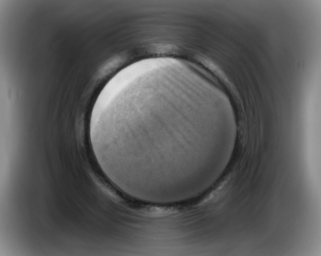 X0000083560442200703091619