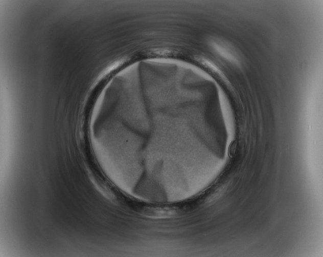 X0000083560443200703091619