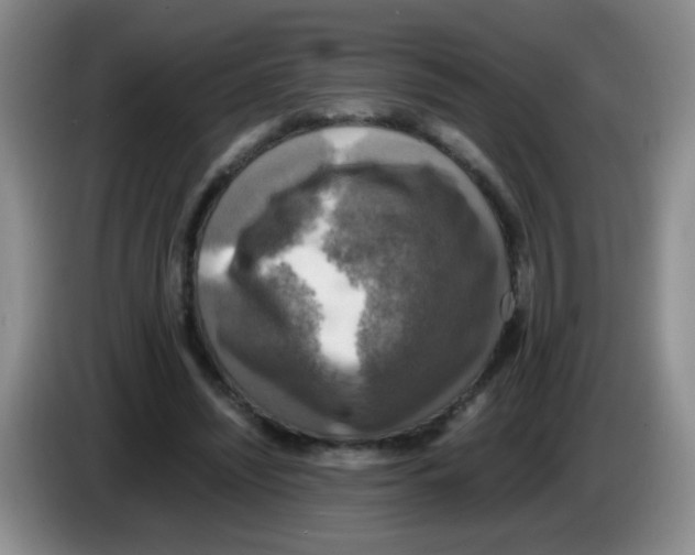 X0000083560444200703091619